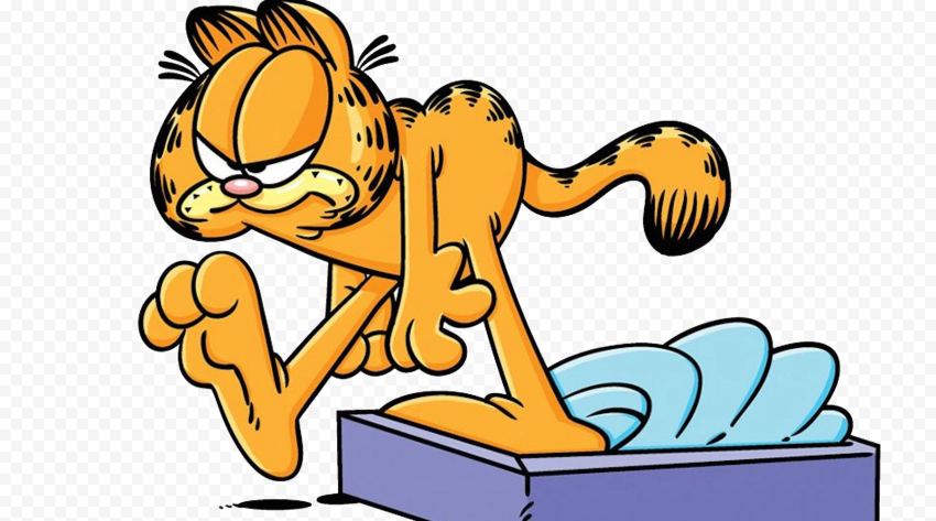 Garfield PNG Photos