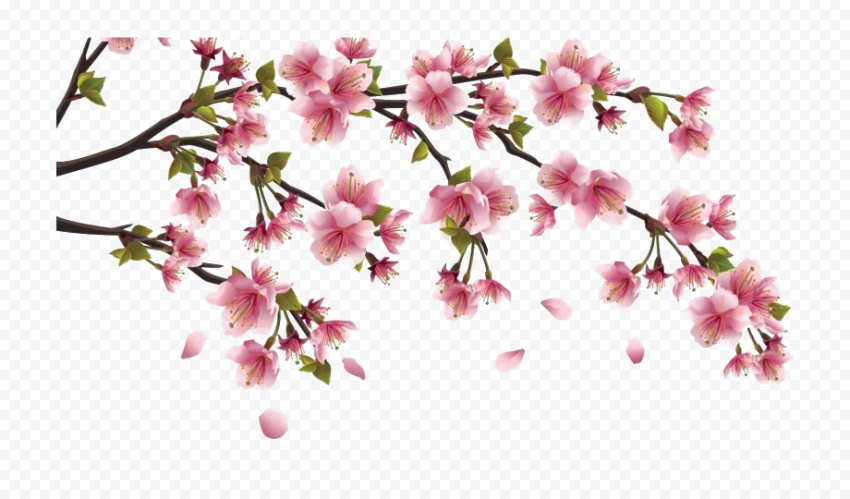 Download Chinese Flower PNG Clipart