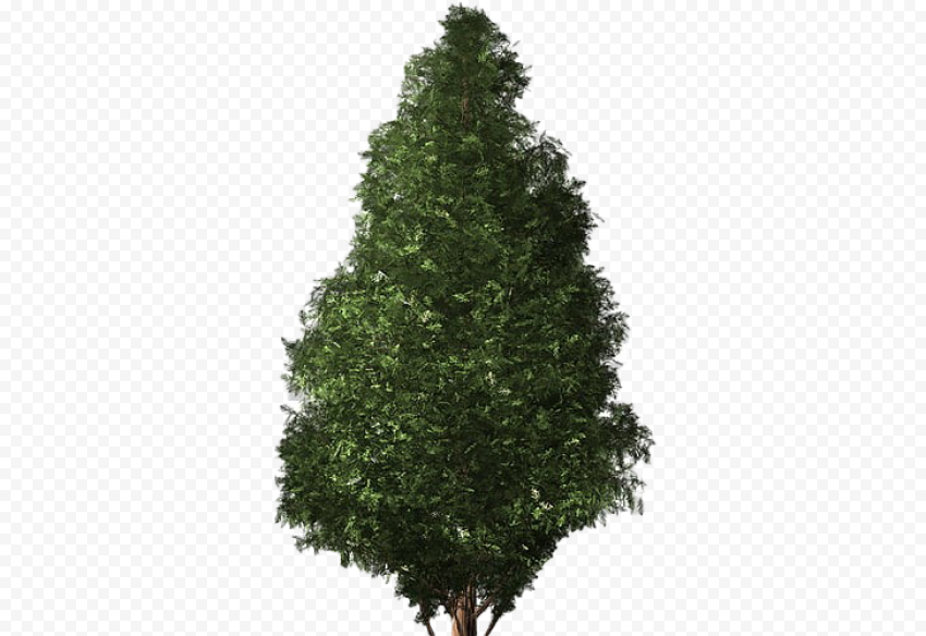 Download Artificial Christmas Tree PNG Transparent