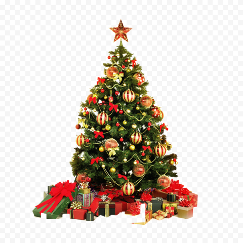 fir pine family christmas decoration for christmas
