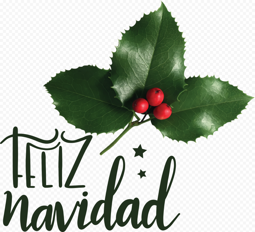 christmas day mothers day santa claus for christmas 5f8682294ddc25 11083617