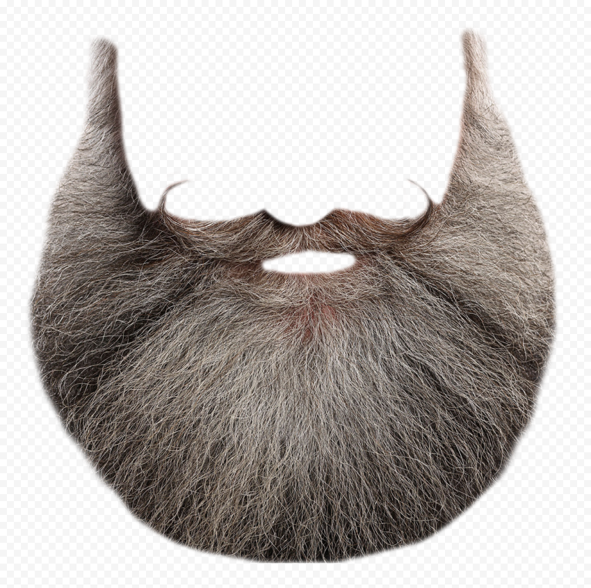 men's beard illustration, Santa Claus Beard