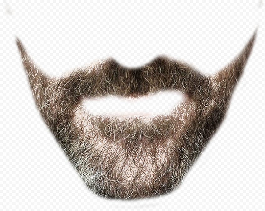 beard editor, Beard, Beard, web Design, fashion,