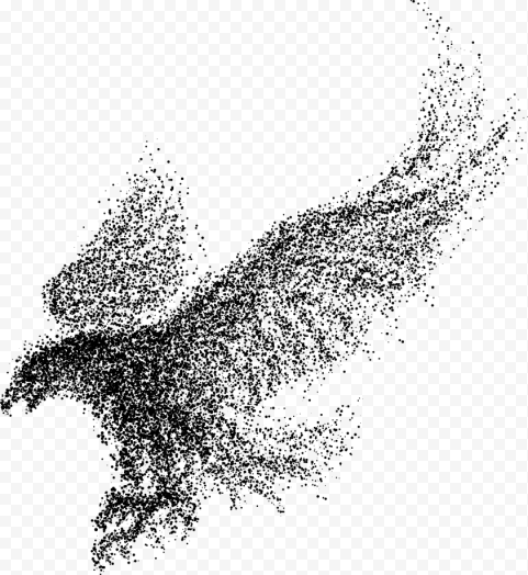 Bald Eagle Bird, Eagle wings particles, monochrome, happy Birthday Vector Images, chicken Wings