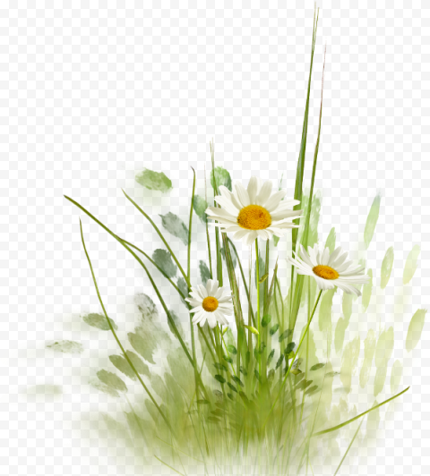 Flower, flower, flower Arranging, computer Wallpaper, grass