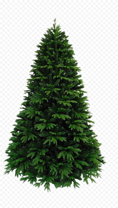 Download Artificial Christmas Tree PNG Free Download