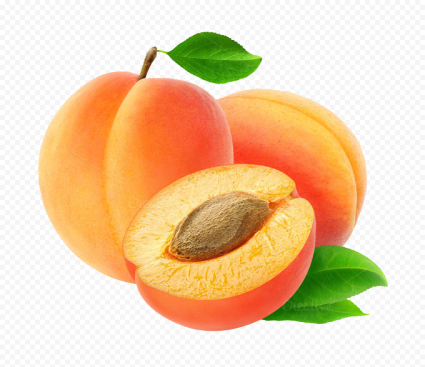 Download apricot transparent image