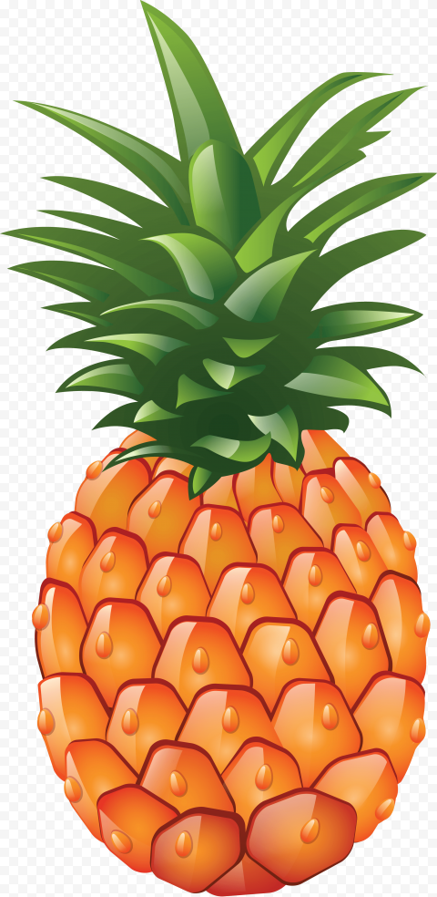 Download pineapple png image download 4