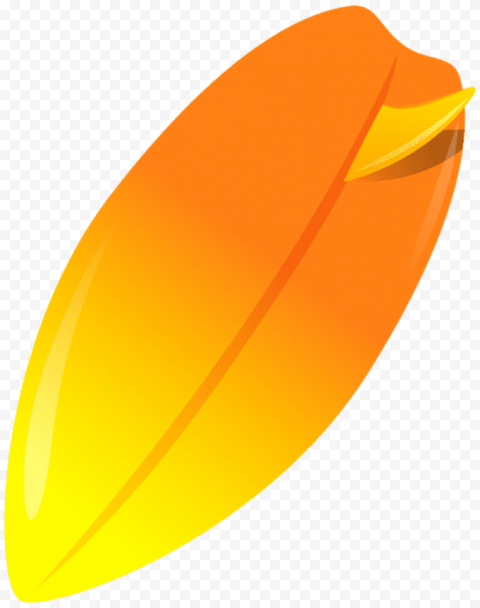 orange surfboard