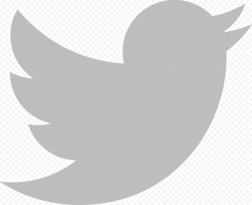 twitter logo vector grey 576x468
