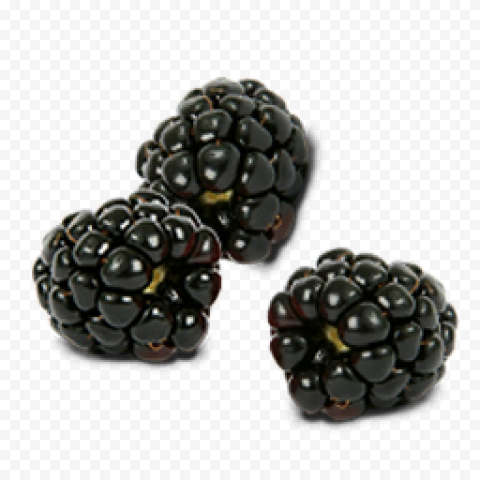 black raspberries