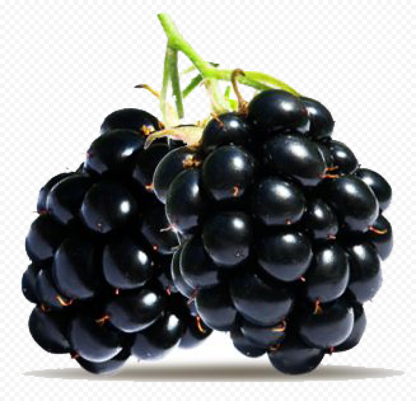 blackberry fruit picture