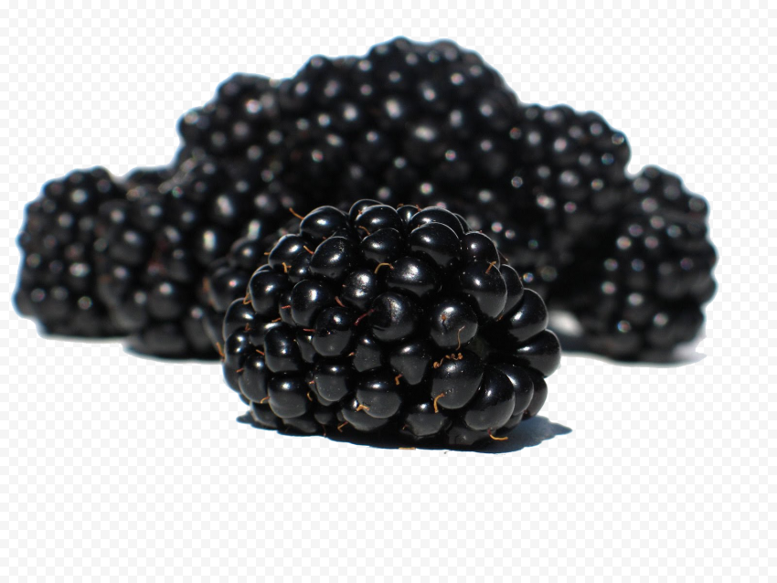 blackberry fruit png
