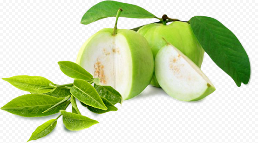 guava download png