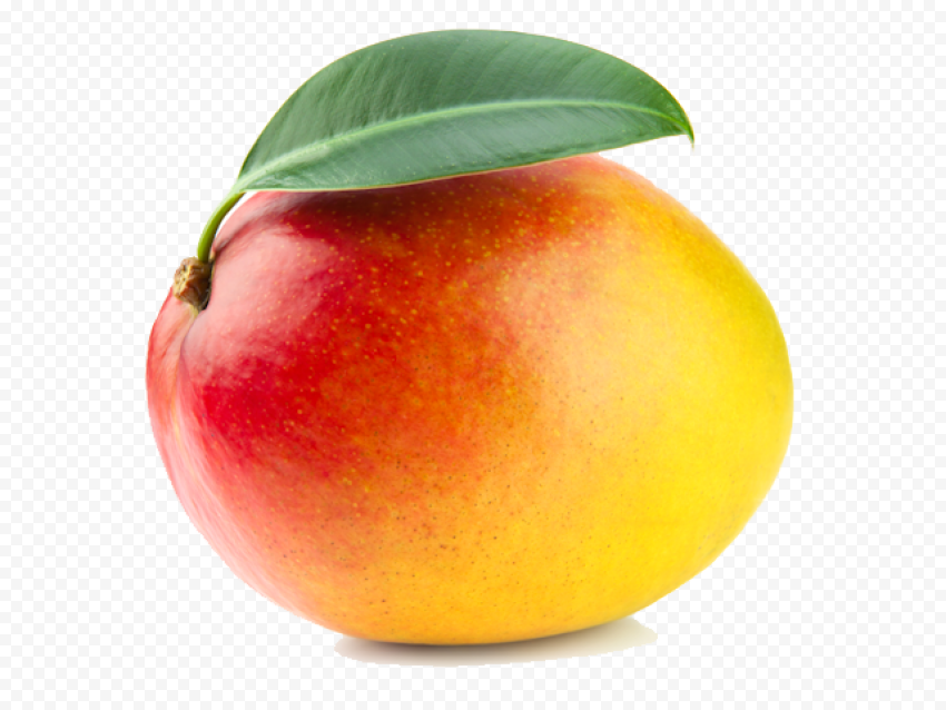 mango png hd