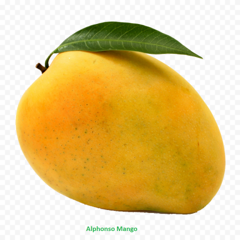 mango png 800x800