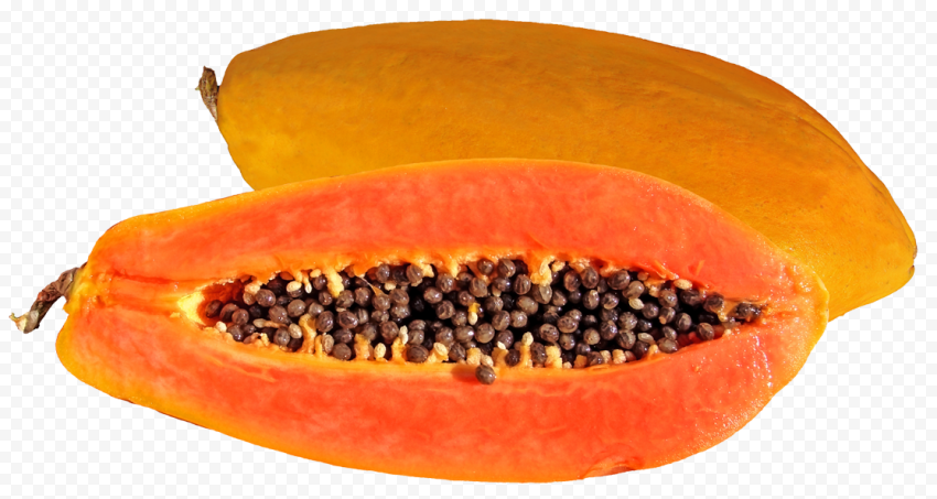 24527 6 papaya clipart
