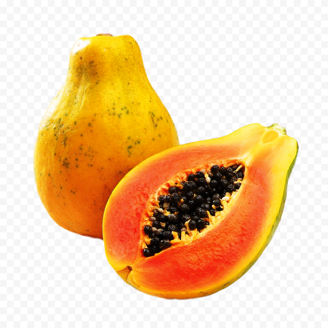 24575 9 papaya file