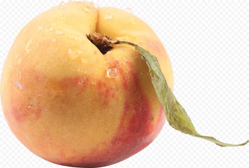 18 peach png image