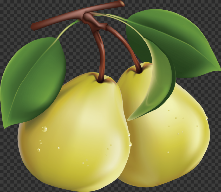 pear png image 2
