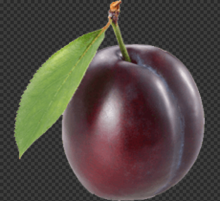 plum png image 2