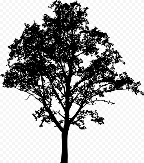 tree line silhouette png