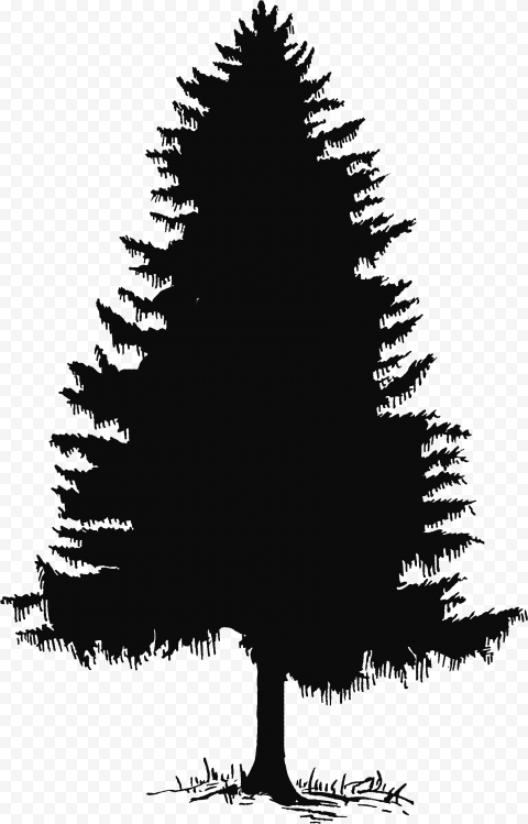 ine tree tree silhouette and clip art on pine tree silhouette