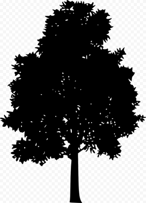 tree silhouette transparent
