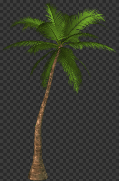 alm tree png palm tree clip art palm trees tree palm tree 327x495