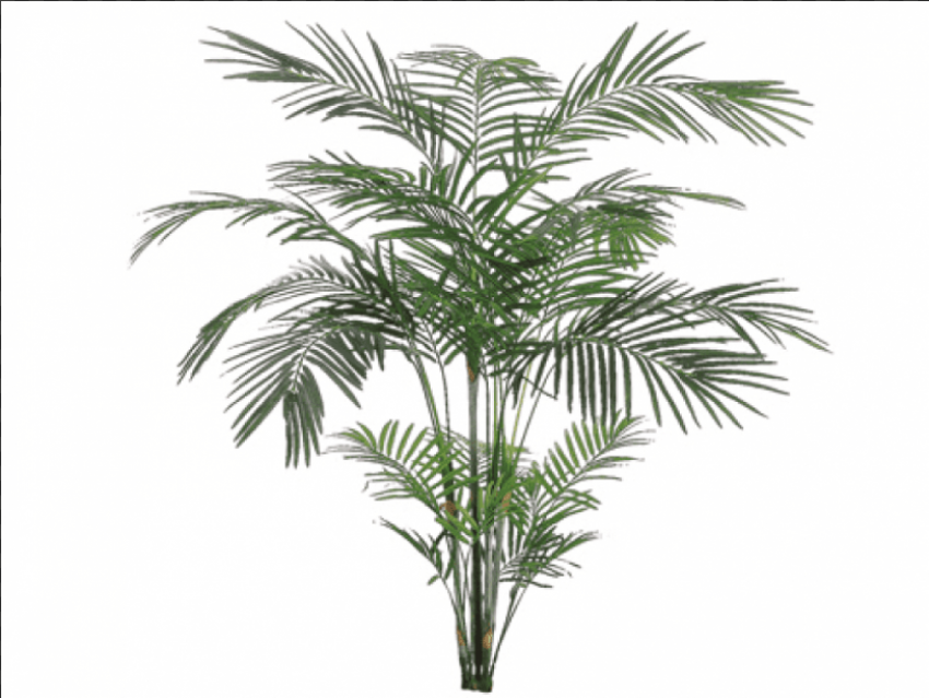 7 tropical areca palm x4 with 705 leaves silk plants direct areca palm tree green pack of 801x601