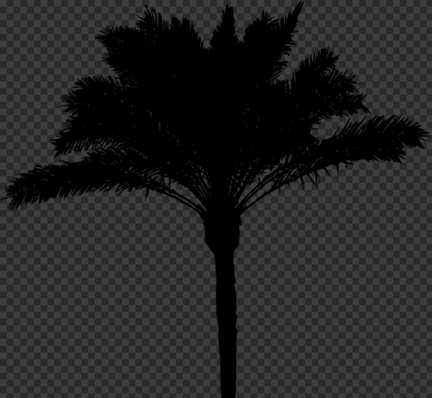 alm tree png download palm tree silhouette 850x783