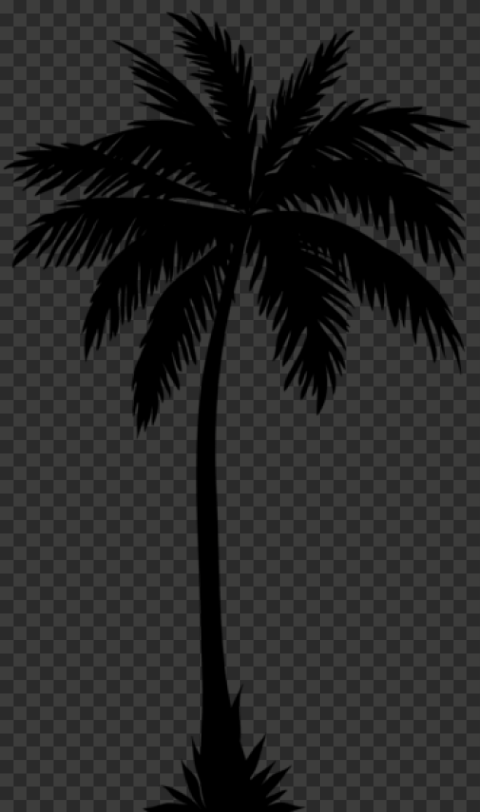 palm tree silhouette free png