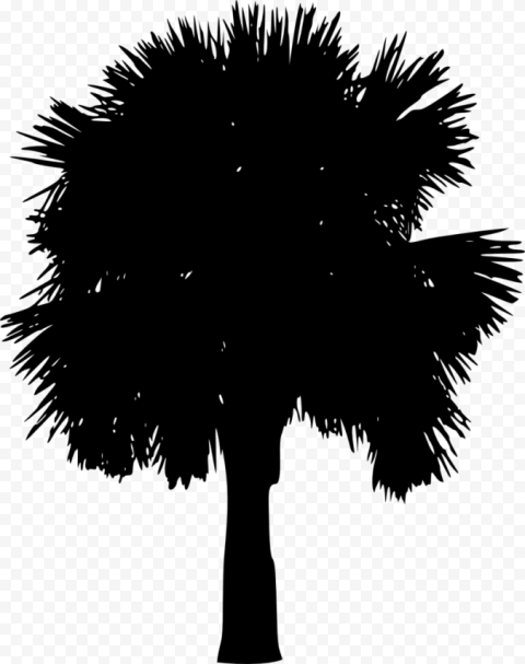 palm tree silhouette free