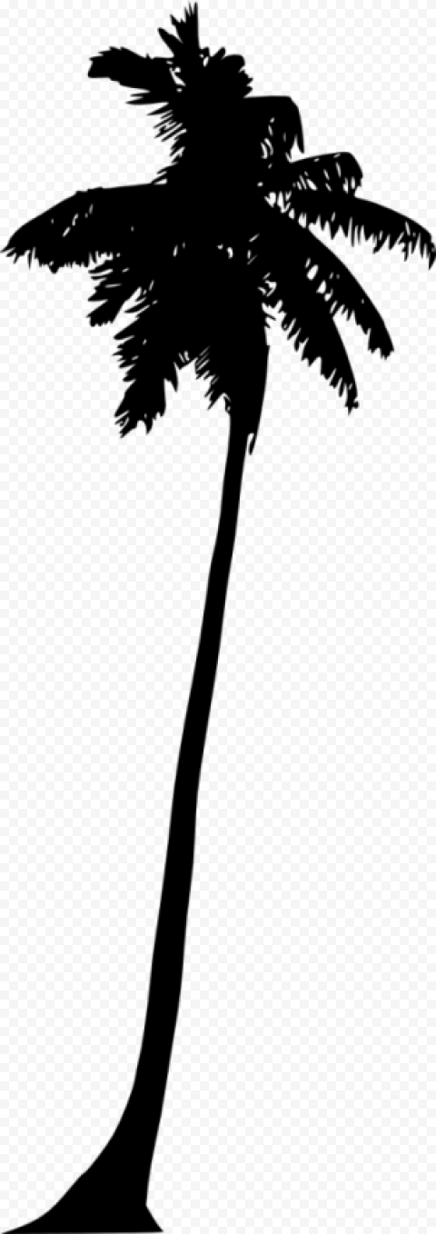 palm tree silhouette clipart