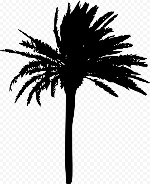 palm tree silhouette free image png