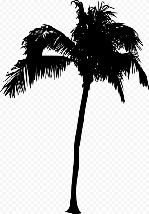 palm tree silhouette background visible
