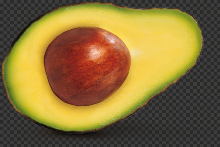 avocado picture free download