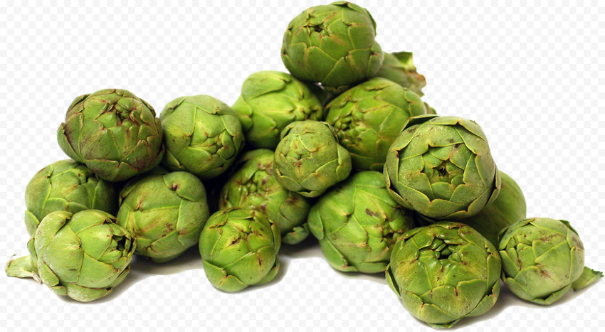 artichokes image