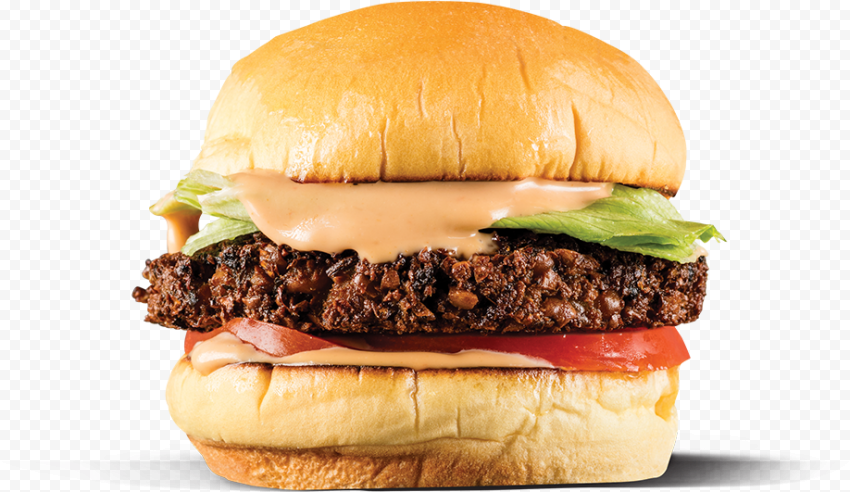 Non Veg Burger King PNG Photos