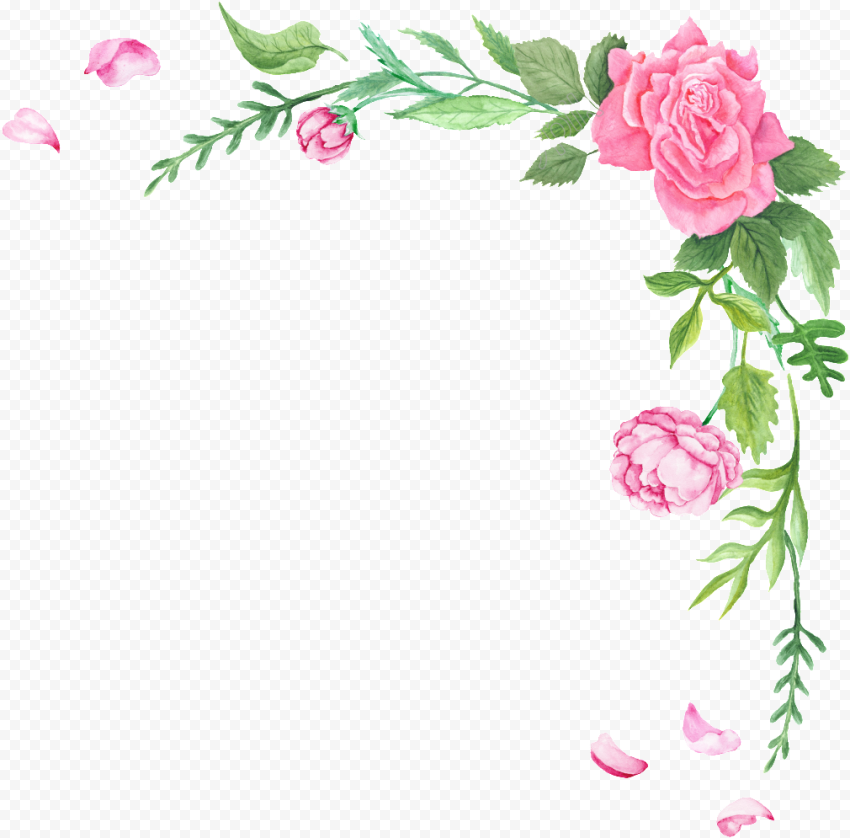 fresh flower transparent decorative free png border flowers
