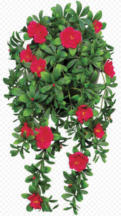 flower png file no background