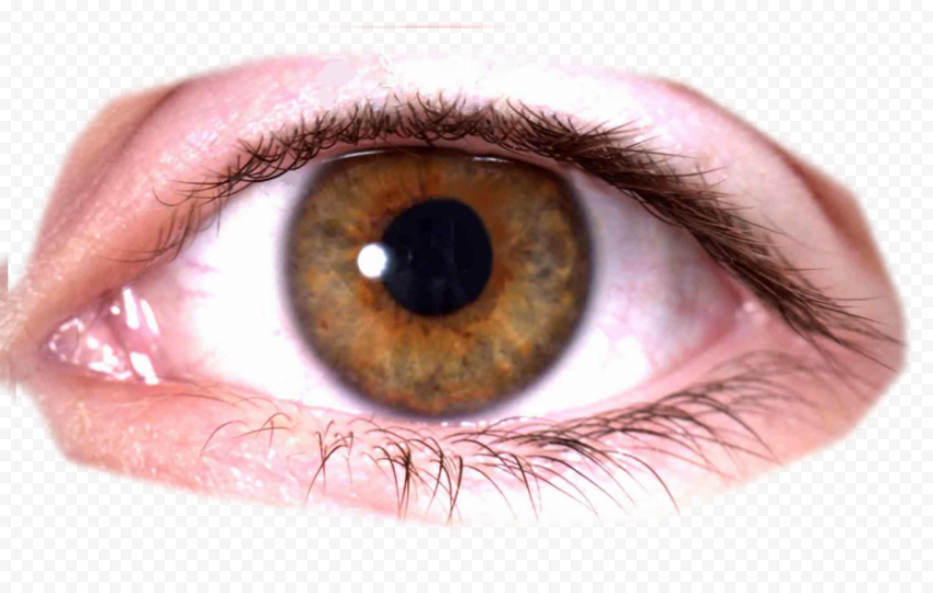 Eye, Eye, image File Formats, people, human Eye png