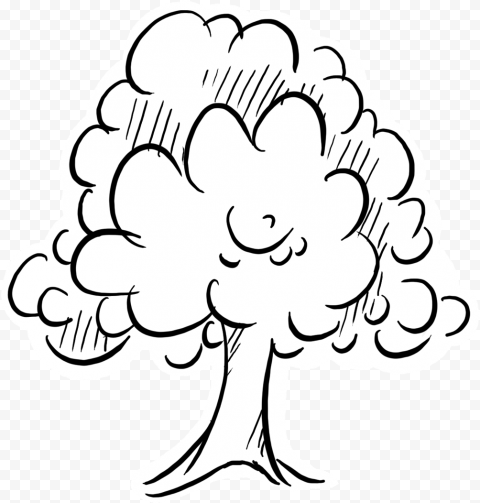 Tree Outline Graphic   Illustration, HD Png Download