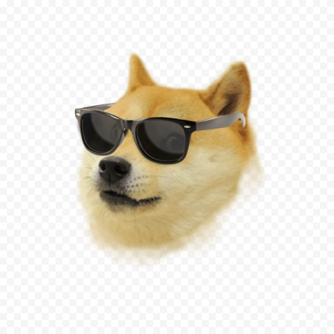 Shiba Inu Dogecoin Transparent Image