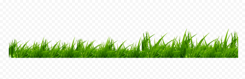 Green grass, Icon, grass, text, cartoon Grass, grass png