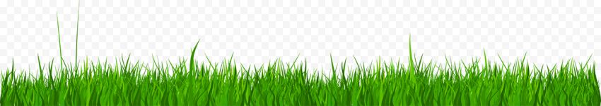 Green grass, Wheatgrass, Grass lawn, cartoon Grass, grass, artificial Grass png
