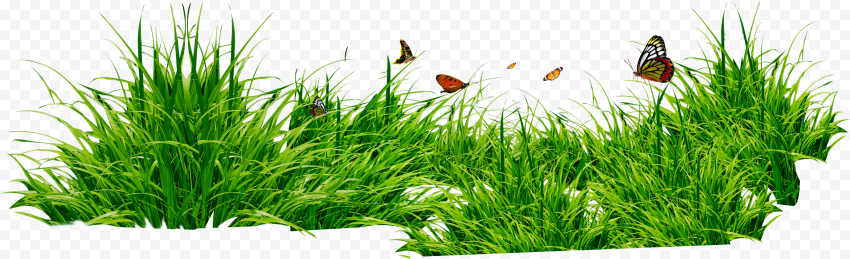 Grasses, grass, green grass, presentation, grass, sticker png