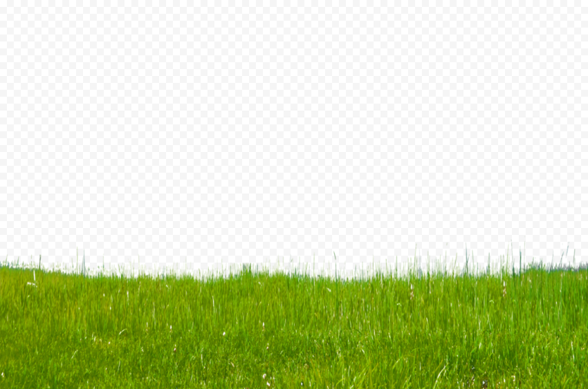 Lawn Green Grasses Grassland, Grass Free, computer, computer Wallpaper, funny png
