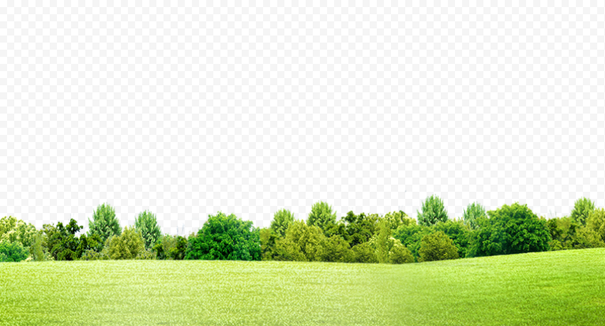 Green grass, green, bush, trees png