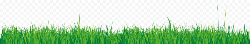 Wheatgrass Green, green grass elements, computer, computer Wallpaper, happy Birthday Vector Images png